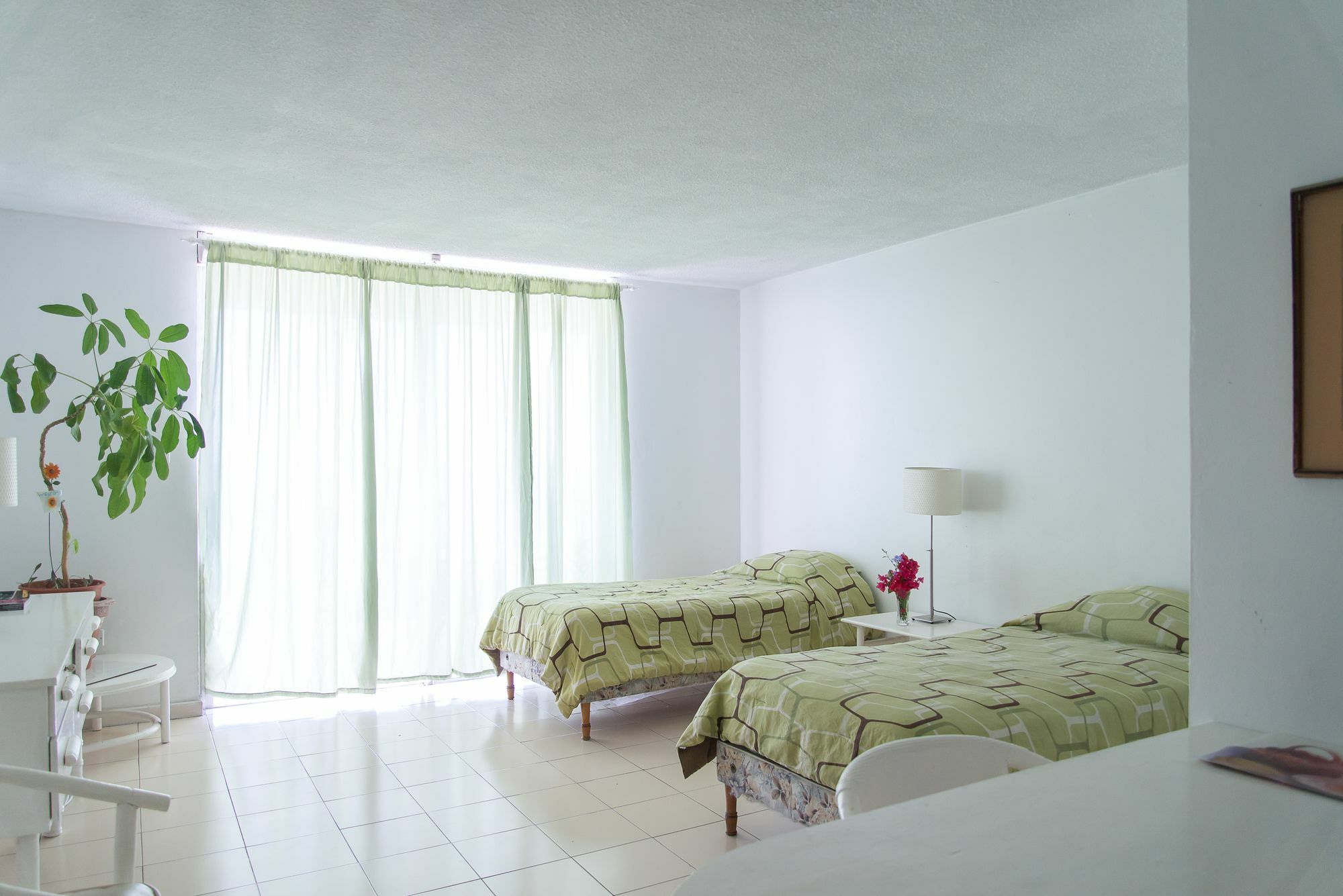 Montego Bay Club Apartments المظهر الخارجي الصورة